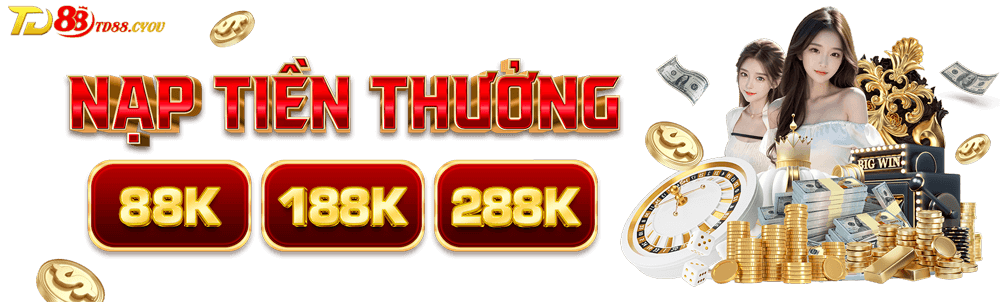 Banner TD88 2