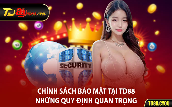 Chính Sách Bảo Mật Tại TD88 – Những Quy Định Quan Trọng